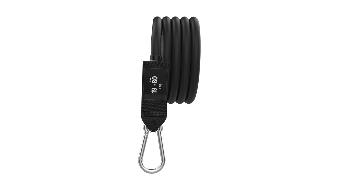 19 lbs Black - (Max 80 Pounds) Individual Band